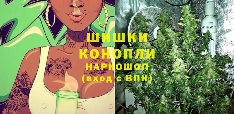 Канабис OG Kush  Мегион 